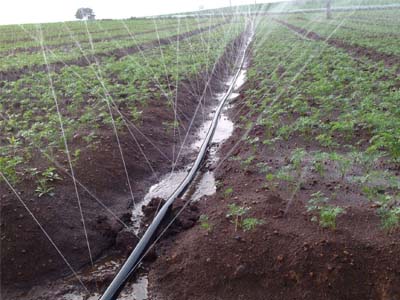 PE微喷带（双层复合）